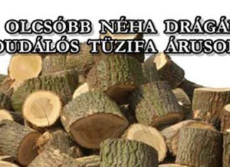Felhívás tűzifa beszerzéssel kapcsolatban – Dudálós tűzifa!