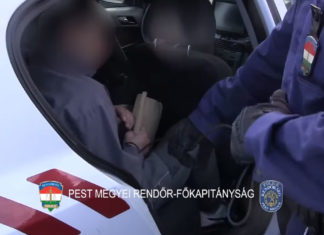 Kocsit lopott, már az előzetesben van a pomázi férfi